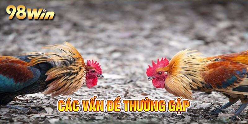 Những vấn đề được quan tâm nhiều bởi hội viên tham gia