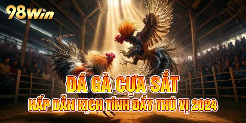 Đá gà cựa sắt kịch tính.