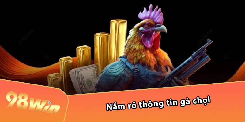 Nắm rõ thông tin gà chọi